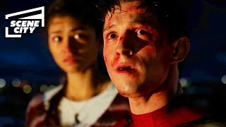 SpiderMan No Way Home Peter Meets Other SpiderMan Tom Holland Tobey Maguire Andrew Garfield [upl. by Galang]