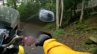 長野県 雨の県道険道199号線。 [upl. by Adalheid]