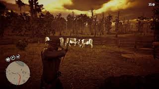 rdr2  Perfect Cow Hide Location [upl. by Nerte]