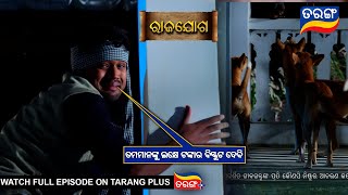 ତମମାନଙ୍କୁ ଲକ୍ଷେ ଟଙ୍କାର ବିସ୍କୁଟ ଦେବି  Rajayoga  Ep 299  20th Nov 2024  Best Scene  Tarang Tv [upl. by Gaillard]