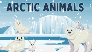 Fun Arctic Animals Song for Kids  Polar Bears Narwhals and More [upl. by Curley]