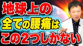 【遂に解明】あらゆる腰痛は２タイプしかない⚠️タイプ別診断とその解消方法とは？（腰痛・股関節痛・坐骨神経痛） [upl. by Bronny950]