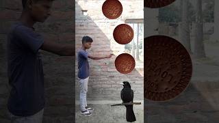 Birds fire Name 🦆🦜youtube vfx vfxshorts trending viralvideo [upl. by Minor844]