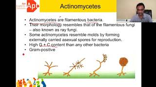 Actinomycetes [upl. by Norel]