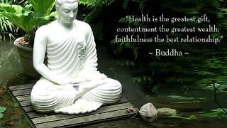 100 Quotes by Gautama Buddha [upl. by Enecnarf543]