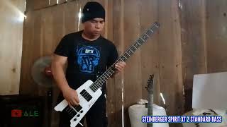 HYSTERIA  MUSE  ALE STEINBERGER SPIRIT XT2 STANDARD BASS COVER [upl. by Adin]