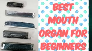 Best mouth organ for beginners  Hindi [upl. by Tandie846]