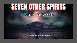 Seven Other Spirits  Part 13  Mr Weeds [upl. by Airdnal412]