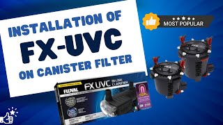 SETTING UP AN FX UVC CLARIFIER  Installation on FX Series Filter Cover [upl. by Yoshiko]