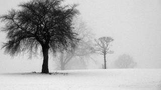 Wexford Carol  Irish Traditional Christmas Carol Clare College Cambridge Arr Rutter [upl. by Nolyarb]