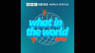 Are attitudes towards India’s caste system changing  BBC World Service [upl. by Lynnett792]