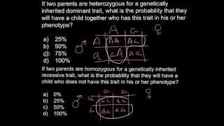 Punnett square problem solving example [upl. by Sathrum]