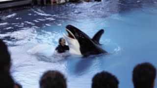 The TERRIFYING Last Minutes of Orca Trainer Britney White [upl. by Anastasie]