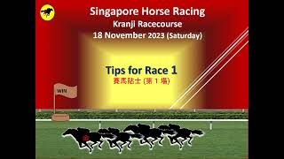 Horse Racing Tips for Singapore [upl. by Dacy]