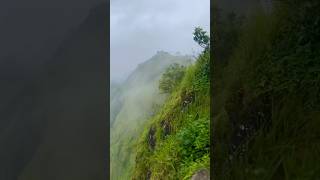 Explore 🏕️  Hridayam  Song  travel status trending nature travel love viralvideo munnar [upl. by End]