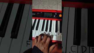 Clases de piano para principiantes [upl. by Dnomyad]