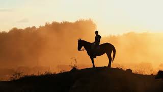 Los Vendavales de Adán Meléndez  Mi Caballito Visualizer [upl. by Nosloc]