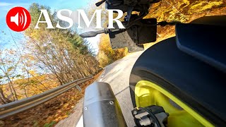 9 Minutes of MT10 Akrapovic ASMR [upl. by Percival]