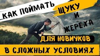 Как поймать Новичку ЖЕРЕХА и ЩУКУ в сложных УСЛОВИЯХ на СПИННИНГ с БЕРЕГА [upl. by Ilene97]