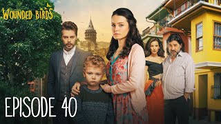 Wounded Birds  Episode 40  Multi Lang Subtitles Turkish Drama  Yaralı Kuşlar 2019 [upl. by Sheng]