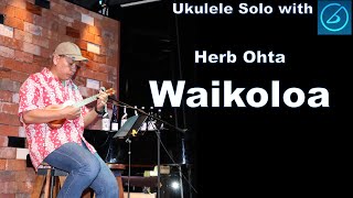 Waikoloa  Herb Ohta  Kyogoku Junichi with iReal Pro [upl. by Enamrej627]