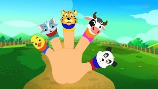 Animals Finger Family for Babies and Children [upl. by Noitna995]