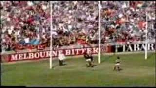 Essendon Vs Carlton Drawn game R2 1993 [upl. by Sices334]