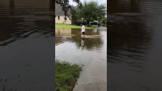 houston flood video －Pearland [upl. by Rivkah]