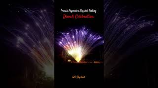 Diwali Best Skyshot Testing hindufestival fireworks viralvideo skyshot crackerstesting [upl. by Isahella]