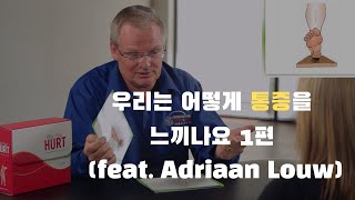 통증에 대한 교육영상 1 featAdriaan Louw [upl. by Vadnee481]