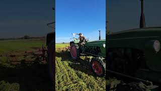 Kramer Oldtimer bei Gras schwaden🚜🎩🍀 [upl. by Zimmerman]