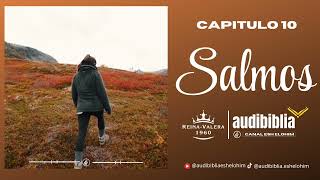 Libro De Los Salmos Capitulo 10 Audio Biblia [upl. by Raynold]