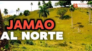 ARROYO el GATO un CAMPO en República Dominicana JAMAO al Norte [upl. by Hendrik]