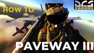 How to use the Paveway III in an FA18 Hornet  DCS Mission Inherent Resolve campaign [upl. by Attenahs284]