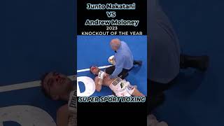 2023 Knockout Of The Year Junto Nakatani VS Andrew Moloney 12Th Rd KO juntonakatani boxeo boxing [upl. by Maltzman5]