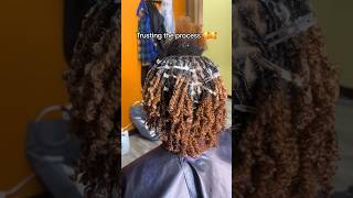 Trusting the loc process Watch her journey unfold 🌴 locs locstory shorts naturalhair [upl. by Kirred]