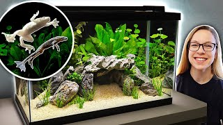 Creating a Planted Tank for Dwarf Frogs with Secret Caves [upl. by Aieki23]