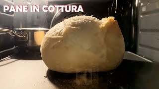 LA COTTURA DEL PANE in TIMELAPSE [upl. by Harbird]