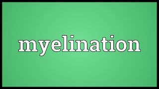 Myelination Meaning [upl. by Enihpesoj61]