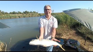 Tutorial  Pesca al Cefalo con la pasta  Dalla teoria alla pratica  Con un Big Fish inaspettato [upl. by Edialeda]