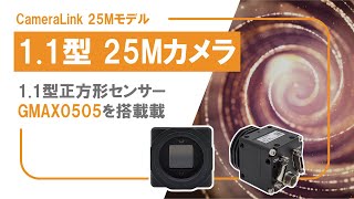 CameraLink 11quot 25M カメラ [upl. by Iem663]