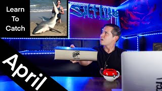 How to Catch Sharks in April [upl. by Nirol]