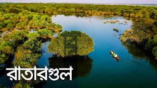 Ratargul Swamp Forest in Winter । রাতারগুল জলাবন।Episode02 । Sylhet [upl. by Fadil93]