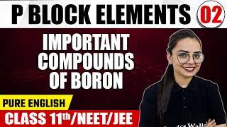 P BLOCK ELEMENTS 02  Important Compounds Of Boron  Chemistry  Pure English  Class 11thNEETJEE [upl. by Nuawaj]