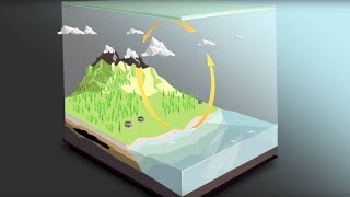 The carbon cycle [upl. by Yenial]