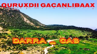 GOOB DALXIISKA UGU QURUX BADAN SOMALILAND [upl. by Kabab]