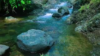 12 Hours of Peaceful Stream Sounds  Ideal for Deep Rest and Relaxation [upl. by Lyrradal]