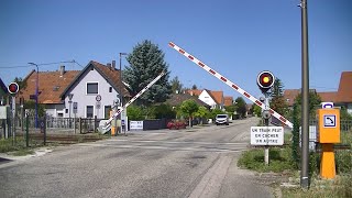 Spoorwegovergang RountzenheimAuenheim F  Railroad crossing  Passage à niveau [upl. by Malas]