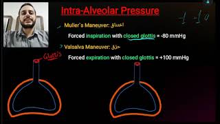 2 Intrapleural pressure [upl. by Jedd]