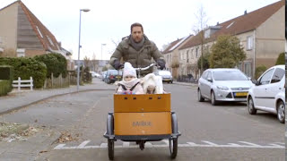 Fietsen op een driewieler bakfiets zo doe je dat [upl. by Prudie]